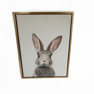 Kate and Laurel Sylvie Female Rabbit Framed Canvas Wall Art